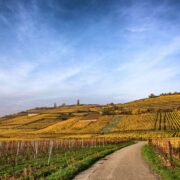 Ciel Strasbourg paysage Alsace