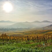 Ciel Strasbourg paysage Alsace